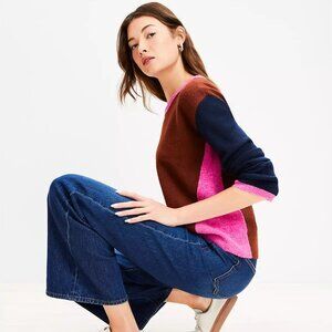LOFT XL Colorblock Soft Crewneck Sweater